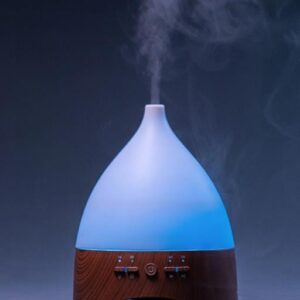 Image of a aroma oil diffuser from India