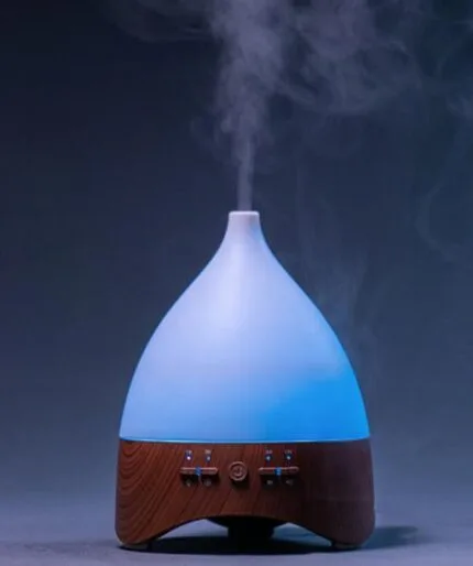 Image of a aroma oil diffuser from India