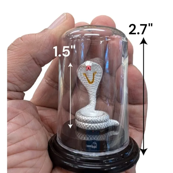 Naag in Pure Silver - Image 3