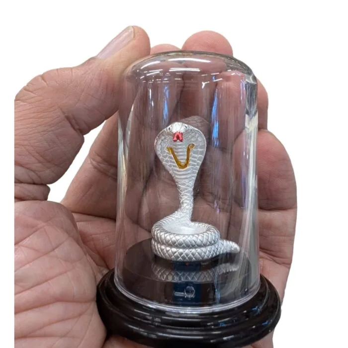 Naag in Pure Silver - Image 2