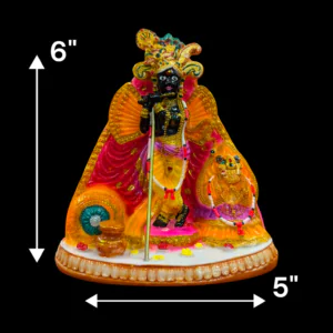 Shri Banke Bihari Idol