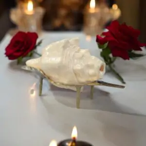 6.5 inch Natural Puja Blowing Shankh- Yellow - Conch Shell-with Brass Shankh Stand