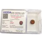 8 Mukhi Rudraksha bead - Image 5