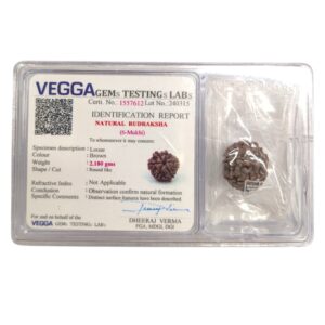 6 Mukhi Rudraksha | Six Mukhi Rudraksha | Lab Certified Natural