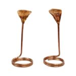 Pair of Copper Naag