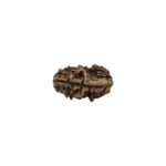 Lab Certified Natural 1 mukhi rudraksha | Ek Mukhi Rudraksha | One Mukhi Rudraksha