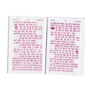 Sri Durga Stuti Hindu Religious Book