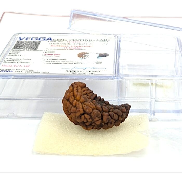 Ek Mukhi Rudraksha | One Face Rudraksha  | 1 Mukhi Rudraksha | 1 Face Rudraksha with Lab Certificate 100% Original