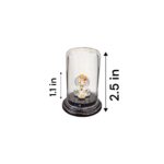 Pure silver Hanuman idol in dome | Car Dashboard Idol