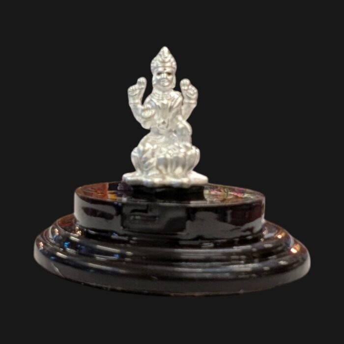 Pure silver Lakshmi idol in dome
