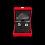 925 Sterling Silver Stud Earrings