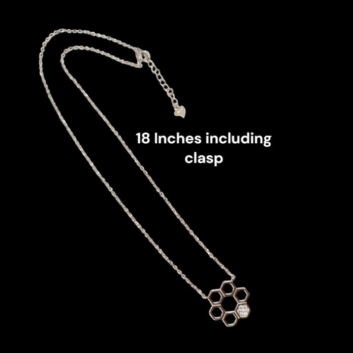 18 inch long chain and pendant