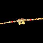 Premium Rakhi with Big bro emblem