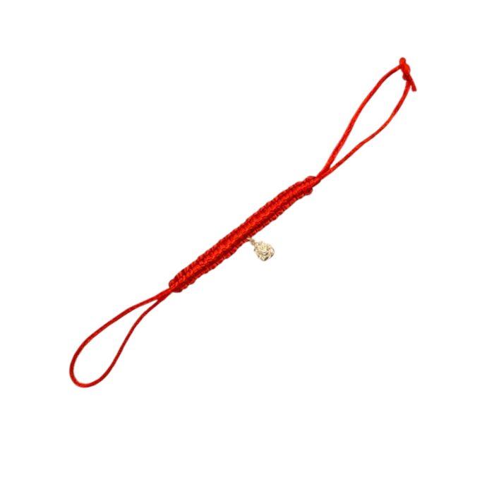 Pure Silver - Ganesha Rakhi - Image 4