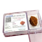 Natural Rudraksha - 2 Mukhi rudraksha bead | Lab Certified Natural Rudraksha - Image 3