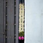 Pair of Lotus strings - 25 inch | Diwali Decorations