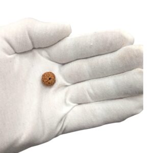 Actual size dimensions