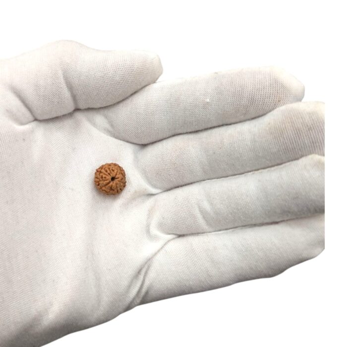 Actual size dimensions