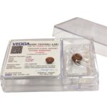 10 Mukhi Rudraksha bead | Dus Mukhi Rudraksha