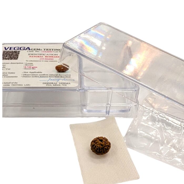 Lab certified 10 mukhi rudraksh