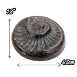 Original Sudarshan Chakra SHALIGRAM - Image 3