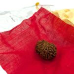 14 Mukhi Rudraksha | Fourteen Face Rudraksha - Collector Special - Image 7