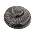 Original Sudarshan Chakra SHALIGRAM - Image 2