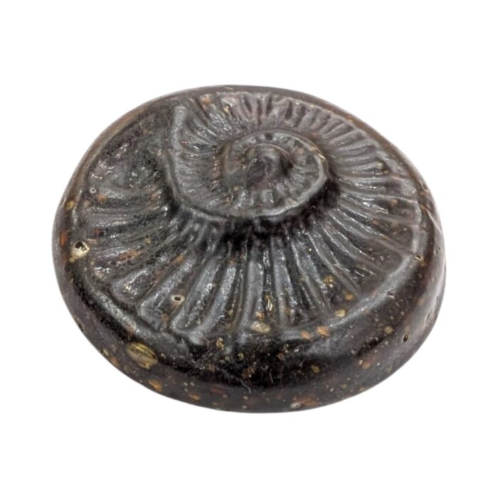 Original Sudarshan Chakra SHALIGRAM - Image 2