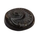 Original Sudarshan Chakra SHALIGRAM