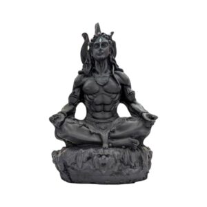 Close up of Shiv Idol