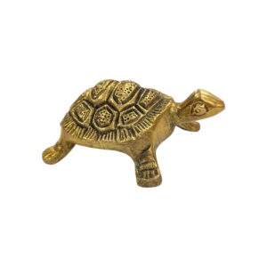 Side profile view of Brass tortoise