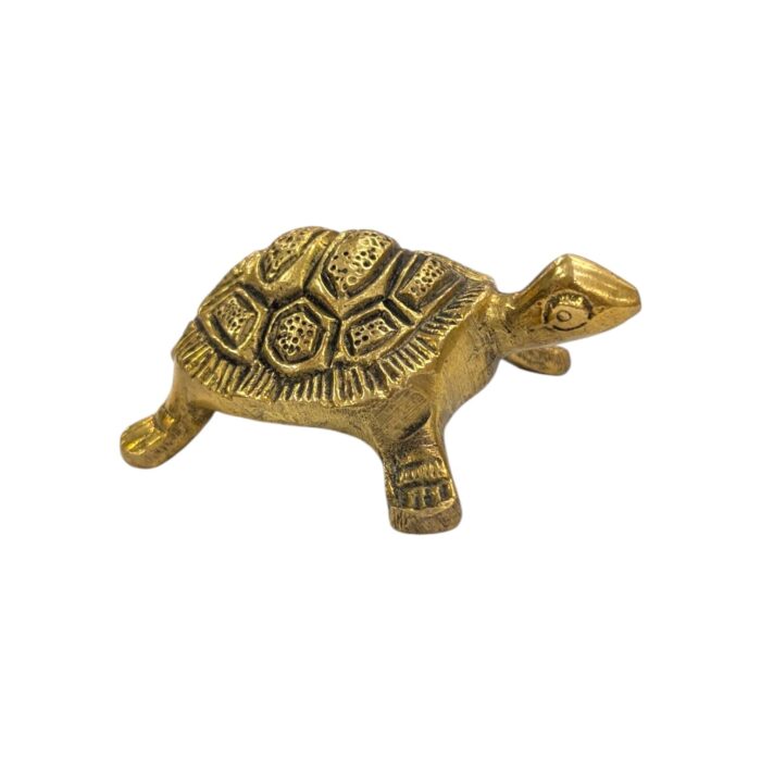 Side profile view of Brass tortoise