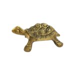 Side profile view of Brass tortoise