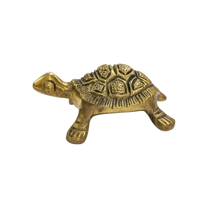 Side profile view of Brass tortoise