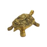 Backside profile view of Brass tortoise