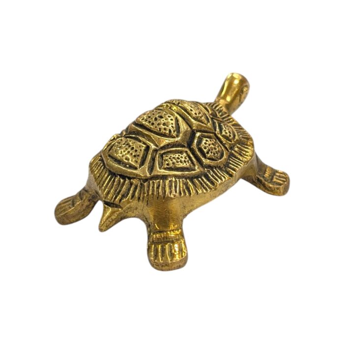 Backside profile view of Brass tortoise