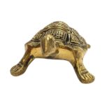 Top profile view of Brass tortoise