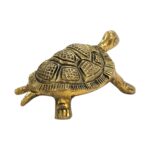 Side profile view of Brass tortoise