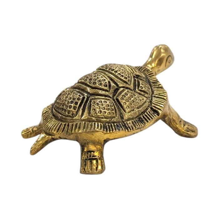 Side profile view of Brass tortoise