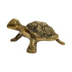 Side profile view of Brass tortoise