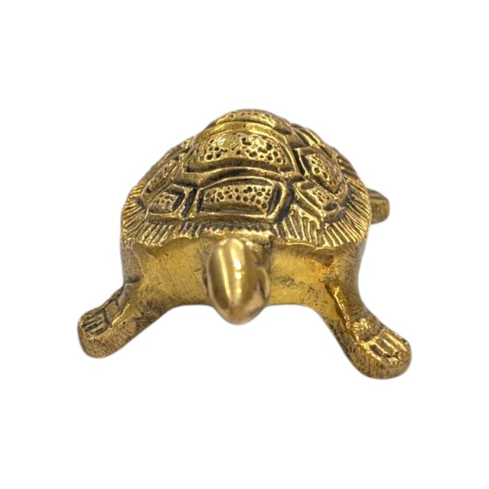 Top profile view of Brass tortoise