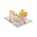 Hard Stone - Shiv Panchayat - Size 2 - White - Image 4