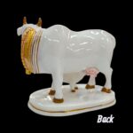 Back Profile of white kamdhenu | Annapurna