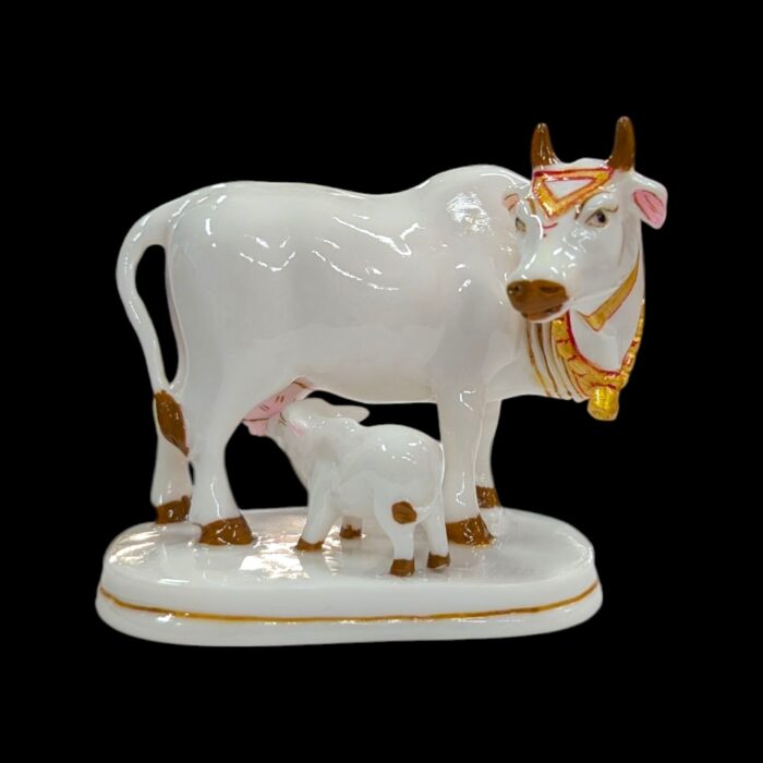 Close up of Kamdhenu Cow with Calf