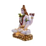 Side profile view of Shiva Idol
