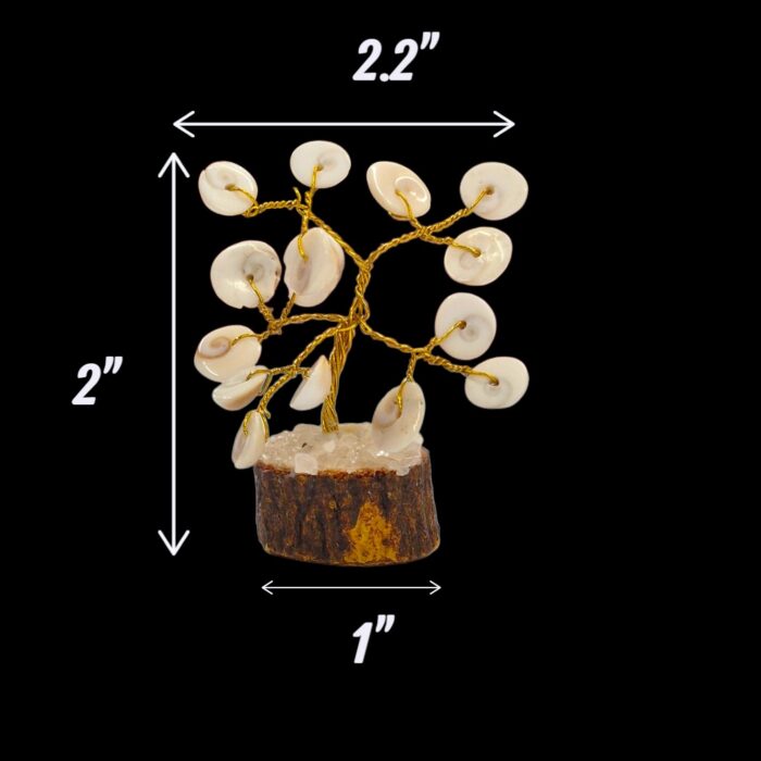 Dimensions of natural gomti chakra tree of life