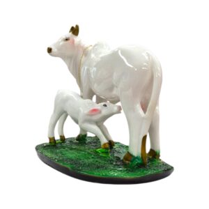 Side profile view of white kamdhenu cow