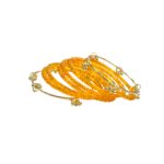 Glass Bangles with Kashmiri Ghungroo Set