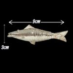 Divine Pure Silver Fish for Pooja & Vastu - 9cm - Image 6