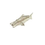 Divine Pure Silver Fish for Pooja & Vastu - 6.5cm - Image 5